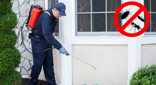 Akçakent Böcek ve Haşere İlaçlama böcek ilaçlama ve haşere kontrolü — ilaclama-tr.com